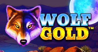Casinofiz.com
